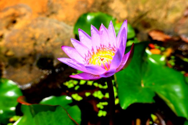 手腳並用..五寮尖山350622