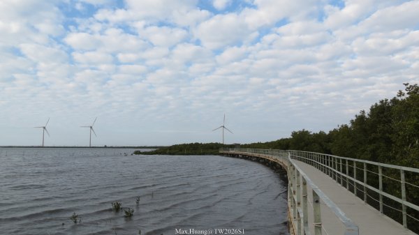 《彰化》海空夕照｜王功燈塔及芳苑海空步道健行賞冬候鳥202601102980319