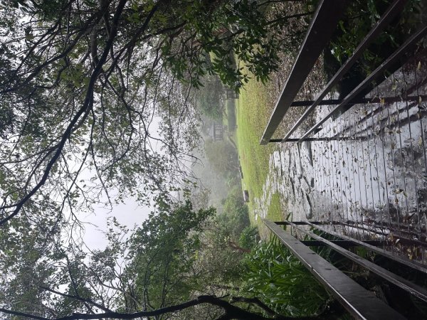 2024草嶺古道芒花季草嶺古道2644789