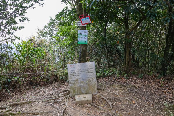 [新北]獅仔頭山2454591