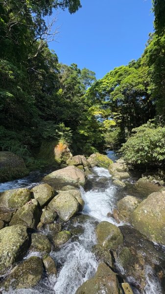 戲水（鴛鴦2786660