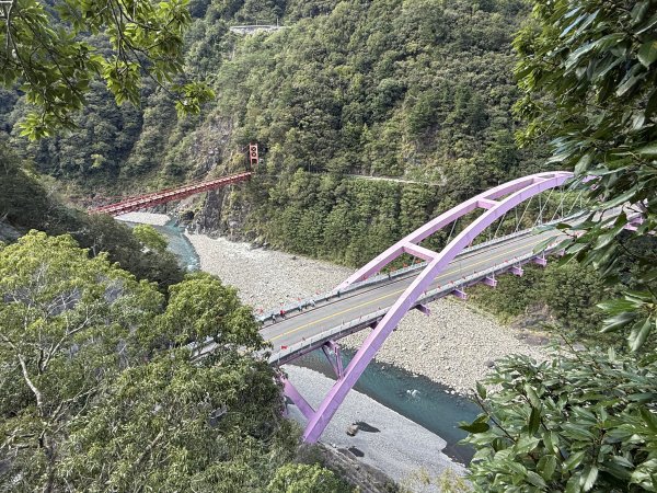巴陵古道 202510103123142