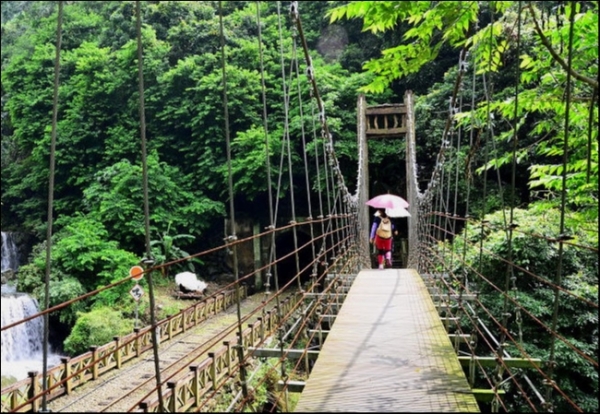 【走在台灣的脊樑上】獨立山森林步道
