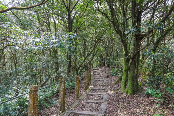 [新北]獅仔頭山2454615