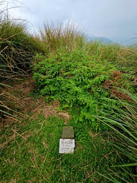 2026年臺北大縱走第三段：小油坑至風櫃口3037890