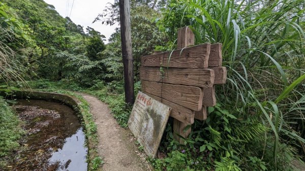 112.04.29走遍陽明山尋寶任務之坪頂古圳步道2137395