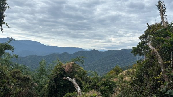 溪洲山2796012