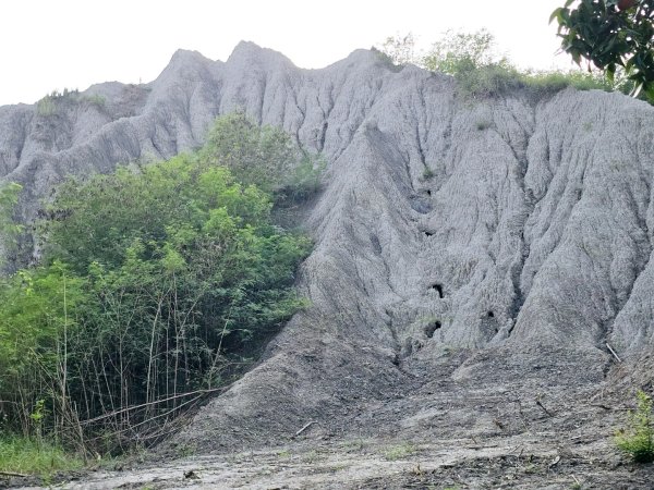 田寮月世界地景步道-113年走路趣尋寶 全臺齊步走2644898