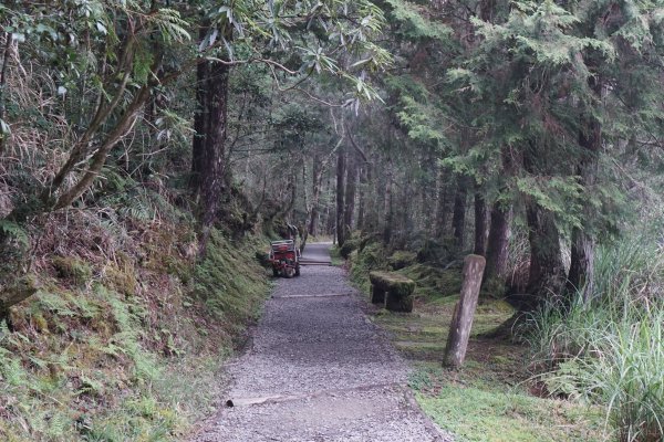 宜蘭大同鄉 翠峰湖環山步道938528