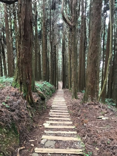 特富野古道903209