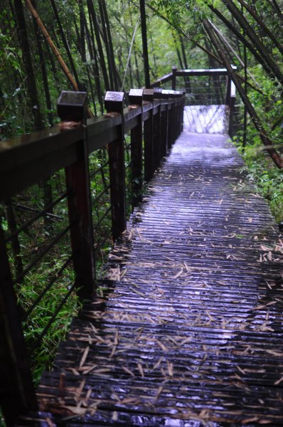 嘉義青年嶺步道 走了一小段就下大雨617799