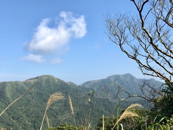 桃源谷山海遊蹤516940