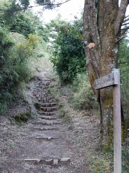 大霸群峰 107.10.19~21455501