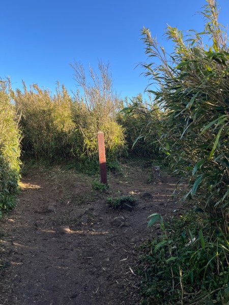 新北 三芝 小觀音山小O2723106