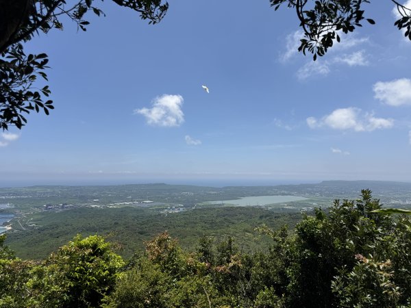 78赤牛嶺大山母山3083589
