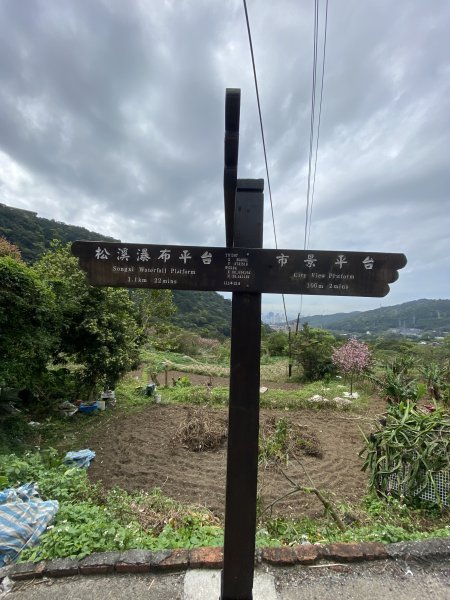 如墨暈染的春日邂逅｜中山樓墨染櫻 × 北投步道探花記2853873