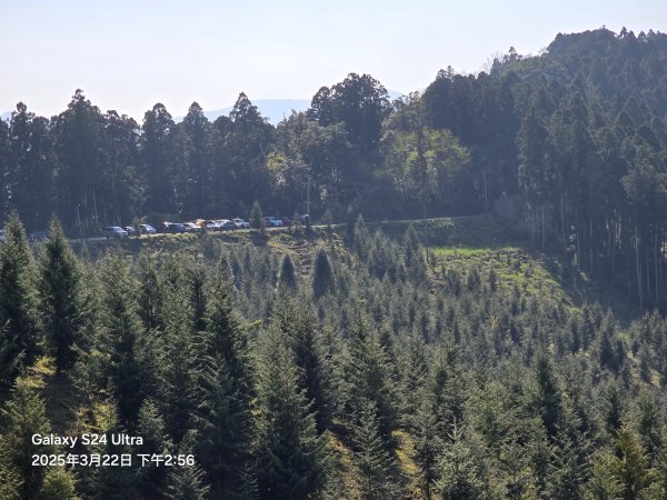 2025-03-22油羅山步道2743448