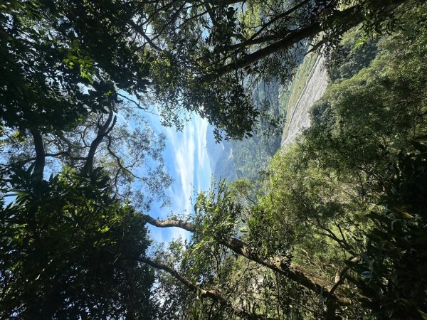 苗栗卓蘭-大克山2626455