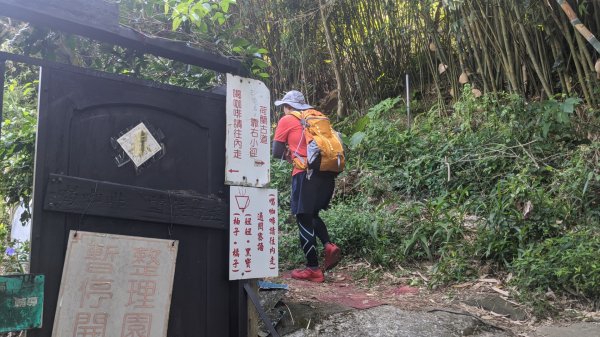 北五指山草原（高頂山、荷蘭古道）1090545