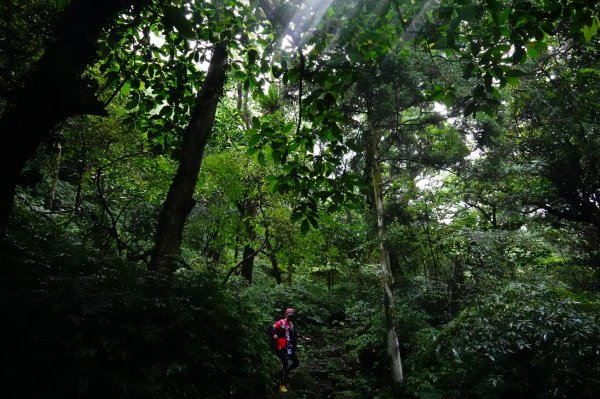 淡蘭古道中路O型988526