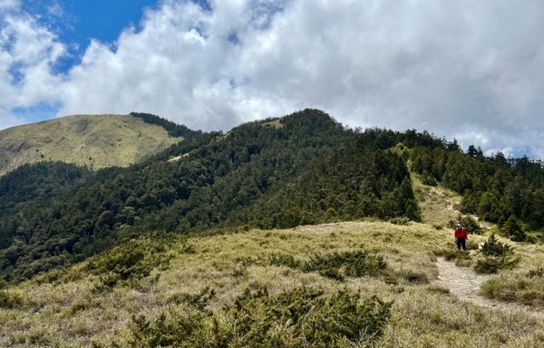 合歡北西峰賞花趣1690831