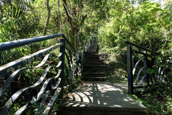 和美山｜新店碧潭步道2892094