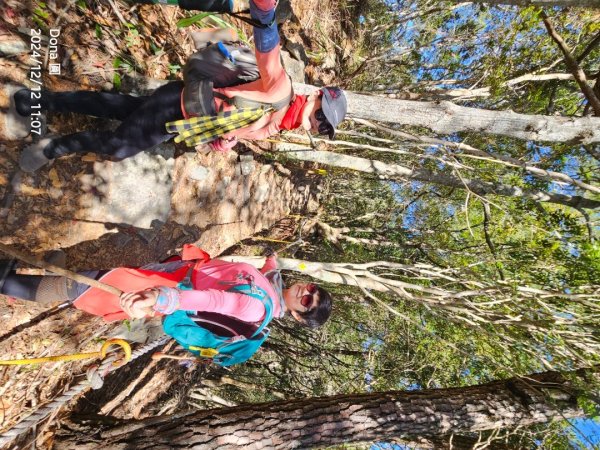 【谷關七雄】波津加(H1771.6m)肉腳配速成功2670449