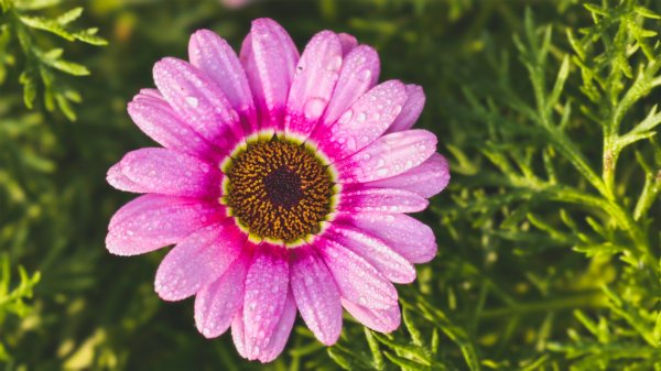 【蛇年走春】高雄桃源 • 世外桃源2700223