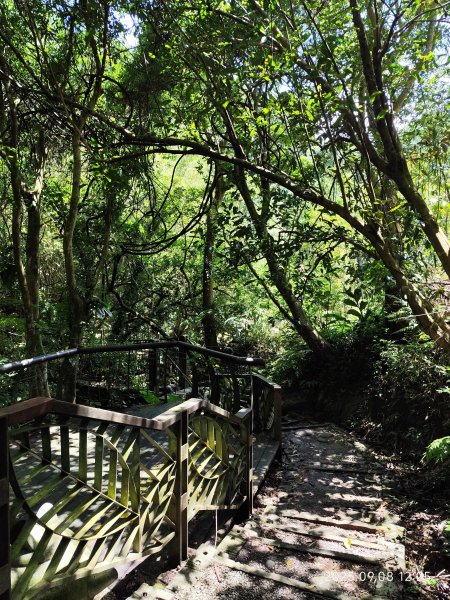 【臺北大縱走 7】2-2 指南宮貓空親山步道→壺穴步道→茶展中心步道→大成殿步道→指南宮竹柏參道2881859