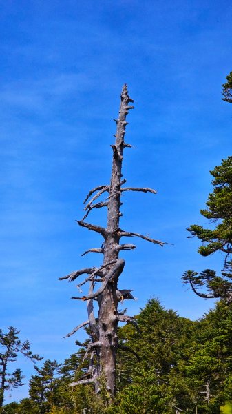 112.04.16 玉山前峰2123676