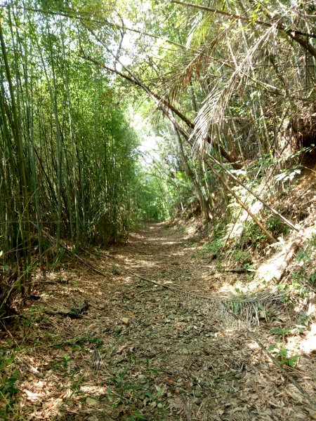 金童山、玉女山、汶水山連走1848027