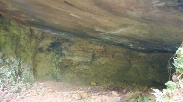 雙溪區溪尾寮古道-藤寮坑古道O型3114491
