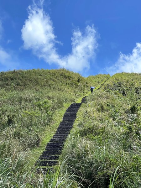 草嶺古道-大溪線-桃源谷-虎字碑-草嶺古道-福隆 202409092591677