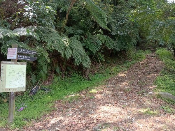 五指山古道+友蚋山南峰2757034