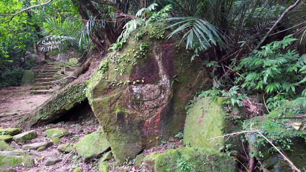 龍虎雙碑縱走2989647