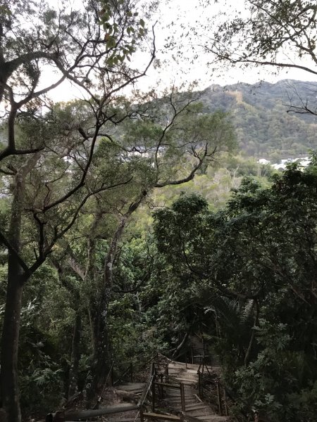 南觀音山步道1218857