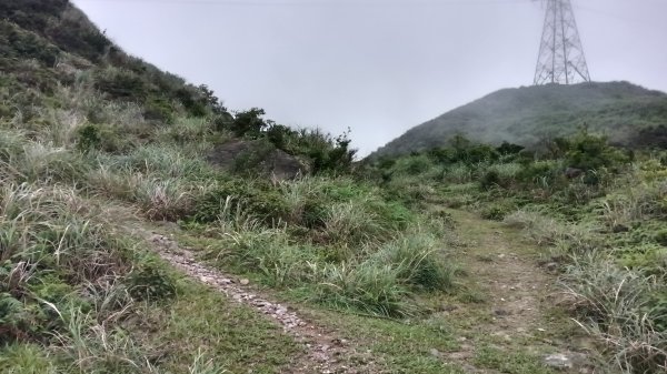 瑞芳區金瓜石地質公園-大粗坑古道(大粗坑山+小金瓜露頭)-樹梅坪-百二崁古道-金瓜石地質公園步道O型3055287