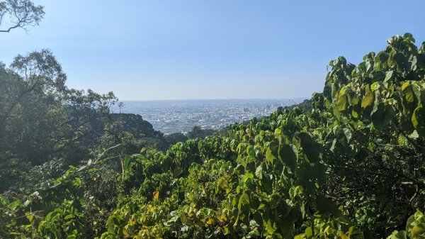 聚興山、新田山步道1641373