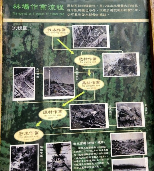 【中級山】谷關七雄八仙山2745064