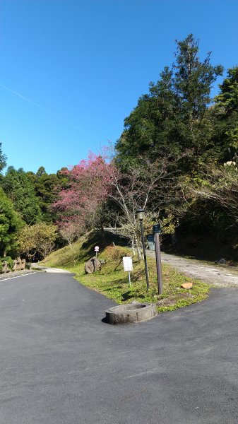 20200104 滿月圓、東眼山、啦卡山817936