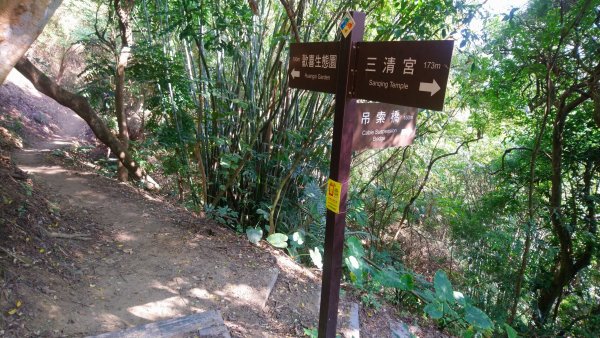 桃源里森林步道和龍鳳谷步道1591603