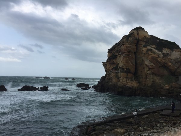 野柳山_駱駝峰稜線_維納斯海岸踏風健走2362514