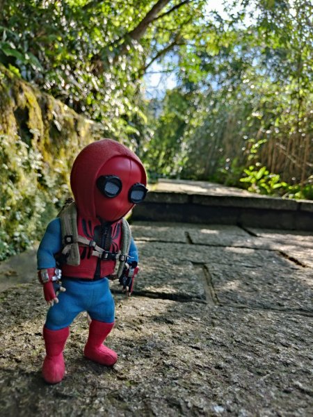 2023.12.08 土庫岳2695269