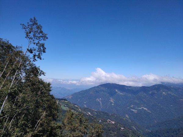 觀霧雲海山林之美2923617