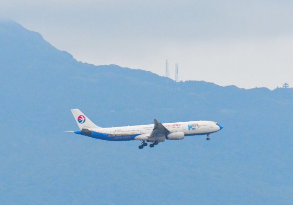 2016年, 九年前, 5, 6月份, 華江雁鴨自然公園2807715