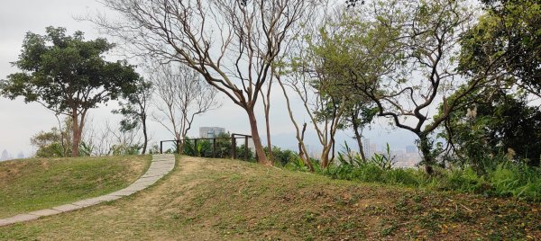 福州山公園3002496