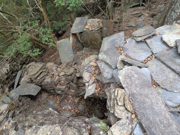 白鷺部落至大武藏山與舊古樓社2782352