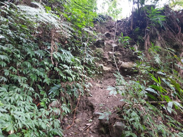 百川山、百川山東峰1552133