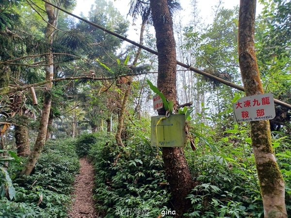 【台南白河】雞籠山+九龍山+大凍山O繞縱走2797151