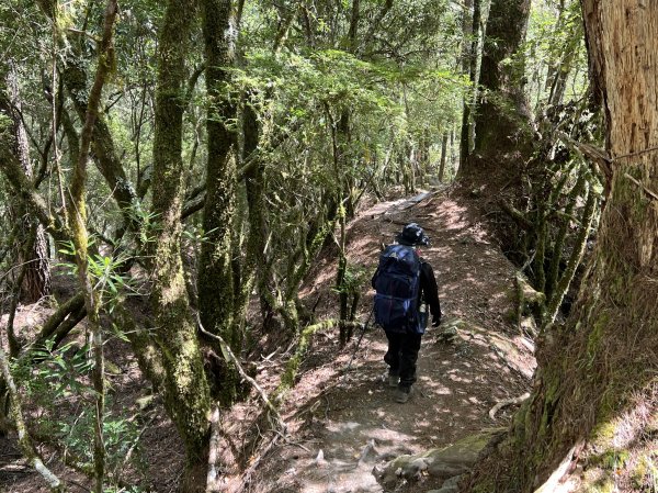 屏風山屋住一晚2916020
